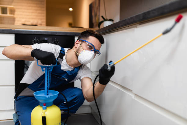 Best Best Pest Control Companies  in Marshfield, MO