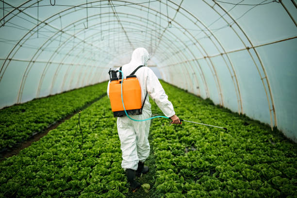 Best Pest Control Treatment  in Marshfield, MO