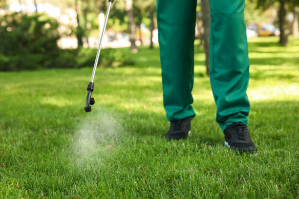 Best Affordable Pest Control Services  in Marshfield, MO