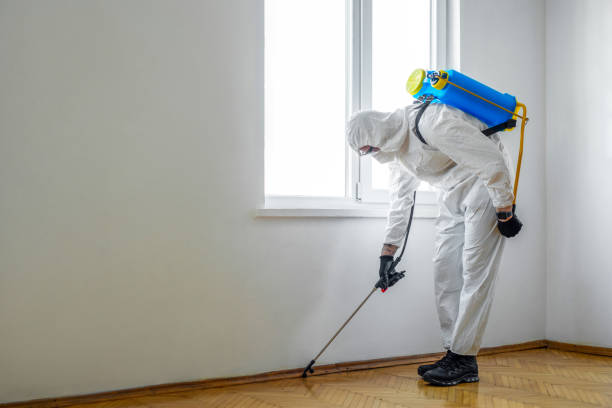 Best Cockroach Control Services  in Marshfield, MO