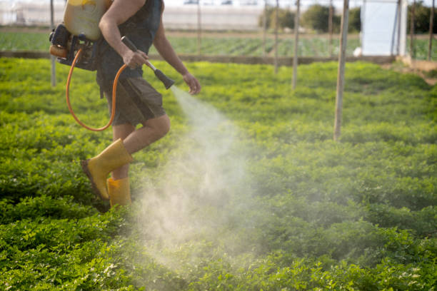 Best Pest Prevention Services  in Marshfield, MO
