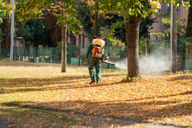 Best Local Pest Control Services  in Marshfield, MO