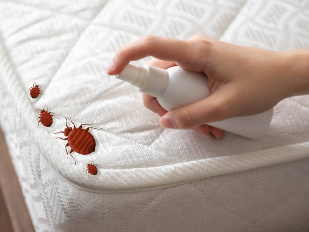 Best Affordable Pest Control Services  in Marshfield, MO