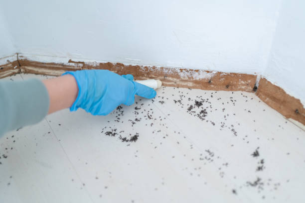 Best Residential Pest Control  in Marshfield, MO